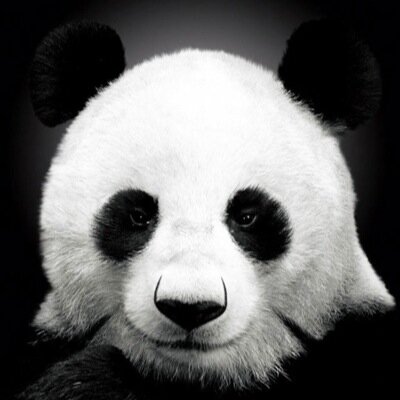 AKalyush's profile picture. 