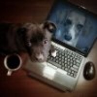 Catherine Elizabeth (@freebie_sample) 's Twitter Profile