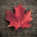 Jared Brown - @jaredabrown - Twitter