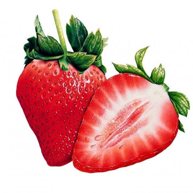 MIXTLI0's profile picture. 