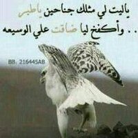 الذيب العاوي (@abojaper11) Twitter profile photo