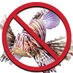 KillTheLionfish (@killthelionfish) Twitter profile photo KillTheLionfish (@killthelionfish) Twitter profile photo