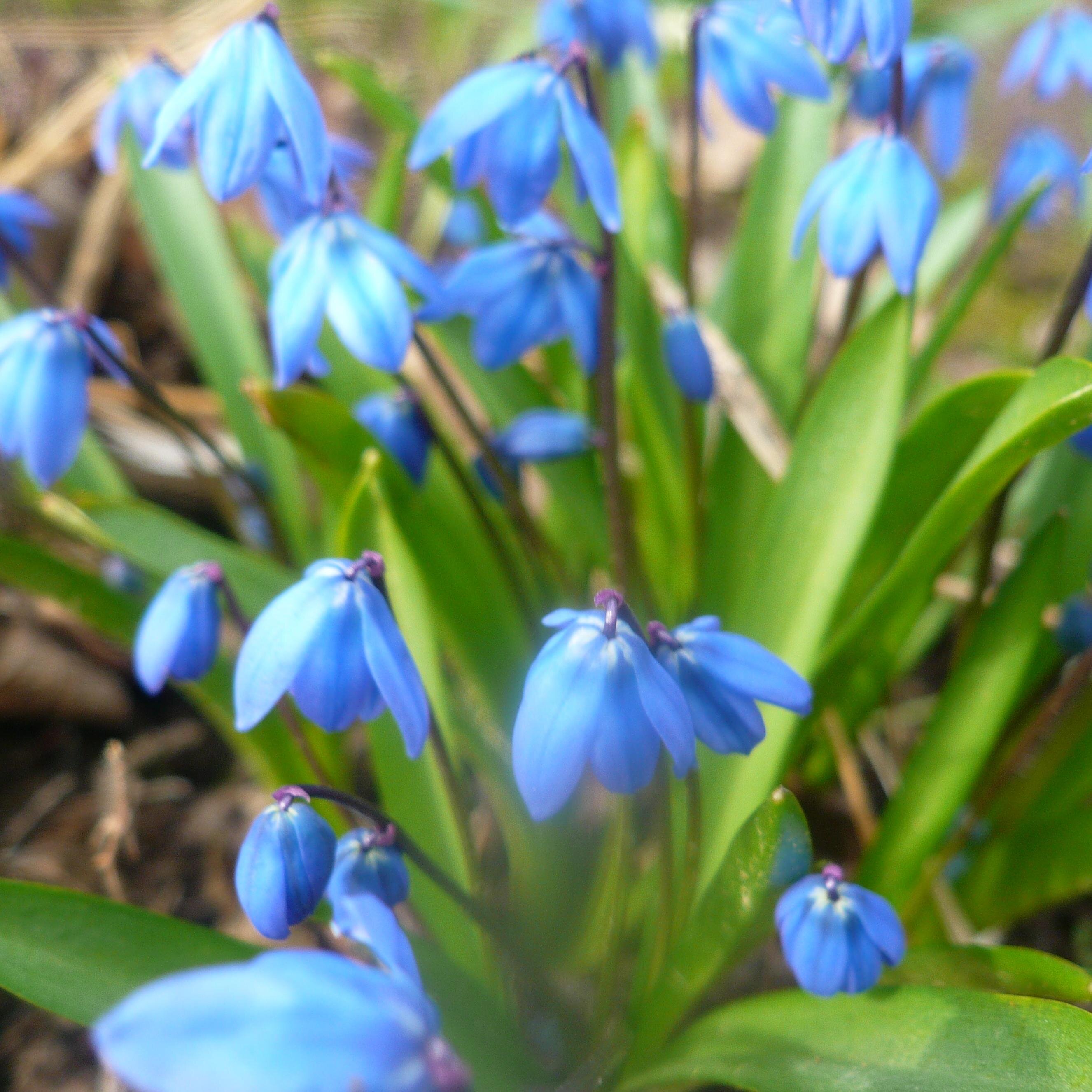 MARIALMAYSK's profile picture. 