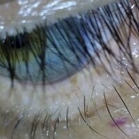 majid ijadi (@majidijadi) 's Twitter Profile