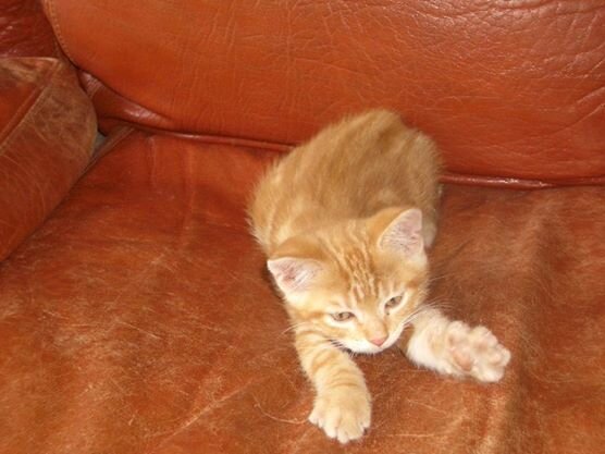 MrBourget's profile picture. 