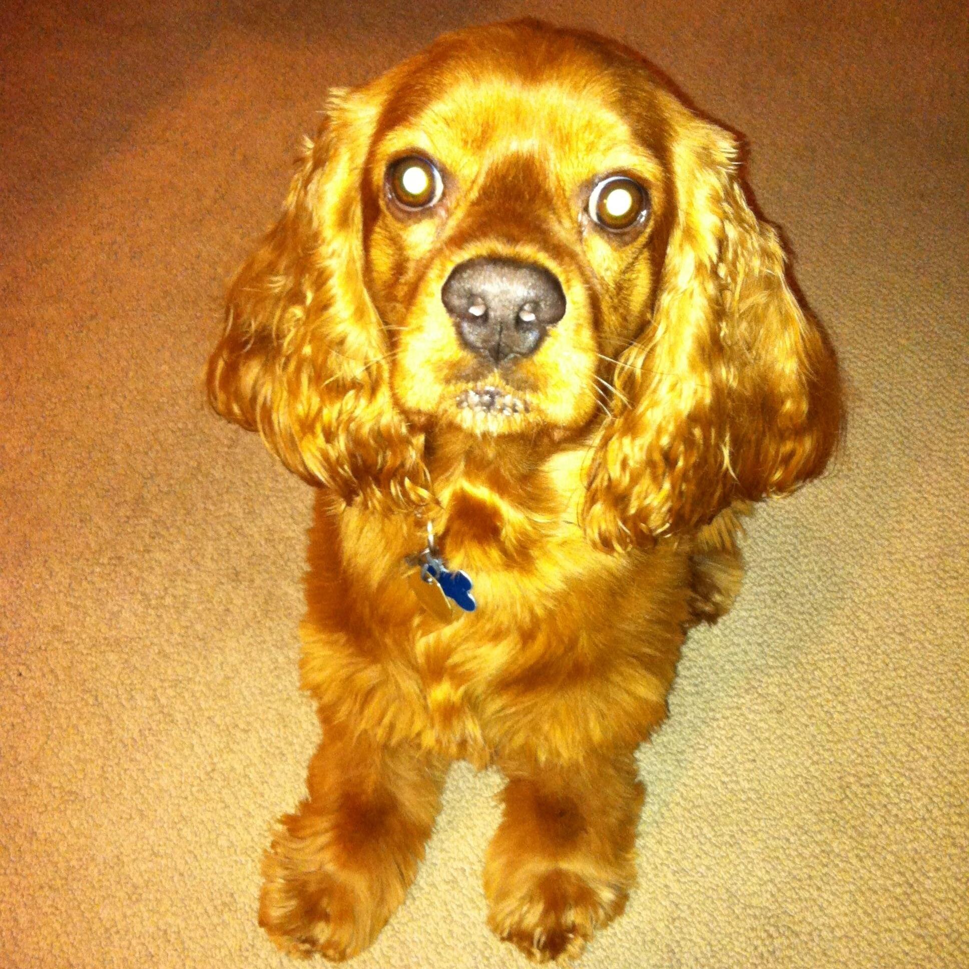 lalaant9497's profile picture. 