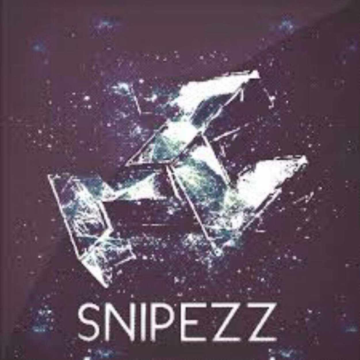 I am the leader of snipeZzz we play xbox my gamertag is VP SnipeZzz invite me if you want to play.