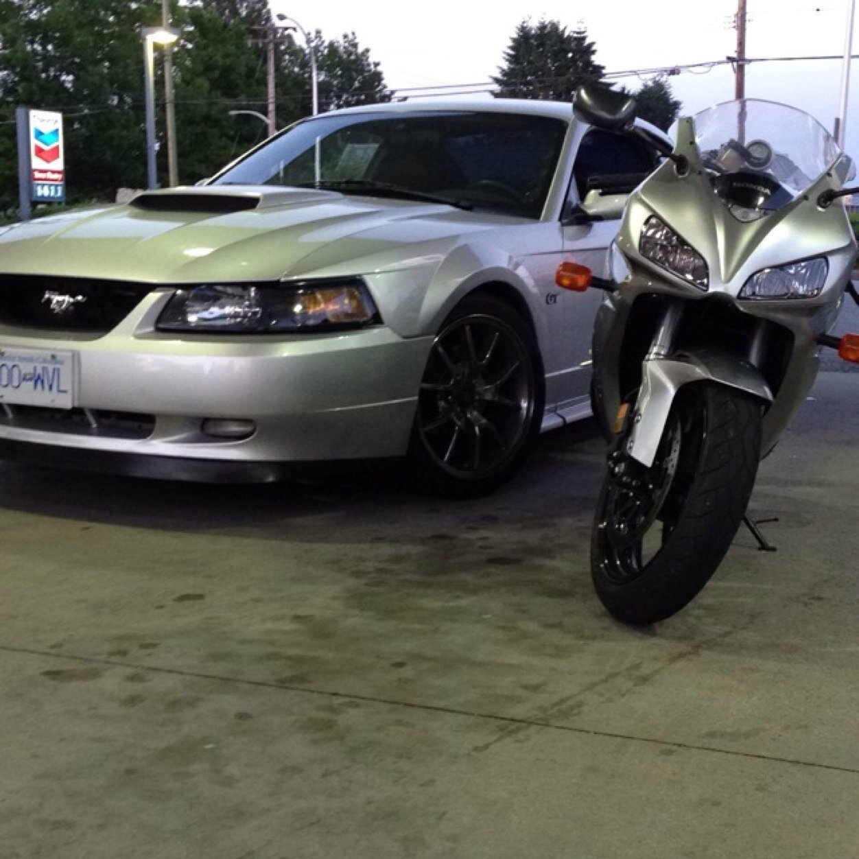 evinsaini24's profile picture. If people are trying to bring you down, its because they know your above them.