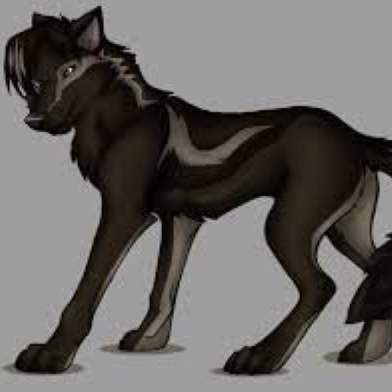 Hello im Razor a wolf that lives in Nome Alaska im a father of 18 pups and my beautiful mate is @Nunivat2 ive been away but am now back to stay