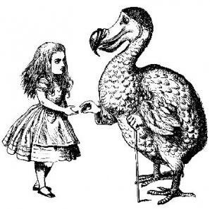 a blog for inspiration and wonder