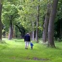 adjmonk's profile picture. Life goes on.
Generally found working on a racecourse.