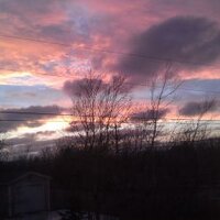 Appreciate the Day.... Every Day (@shiftgirl1) 's Twitter Profile Photo Appreciate the Day.... Every Day (@shiftgirl1) 's Twitter Profile Photo