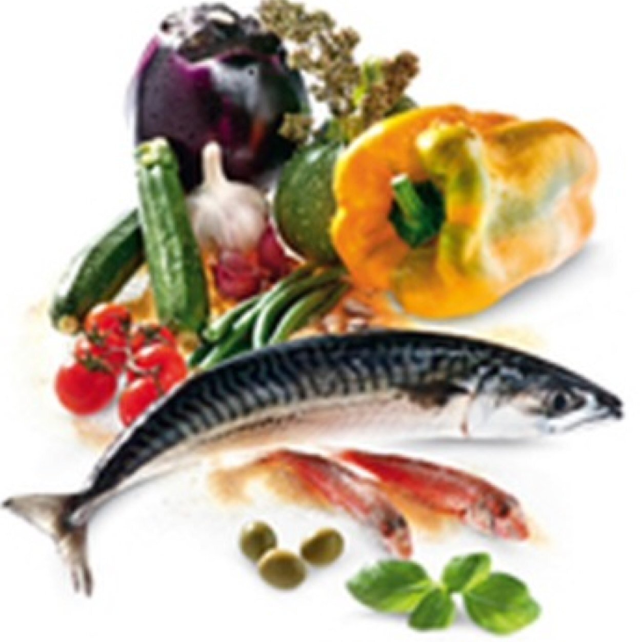 amore_seaton's profile picture. Mediterranean & Seafood Restaurant