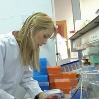 Antoinette Perry (@icaplab) Twitter profile photo