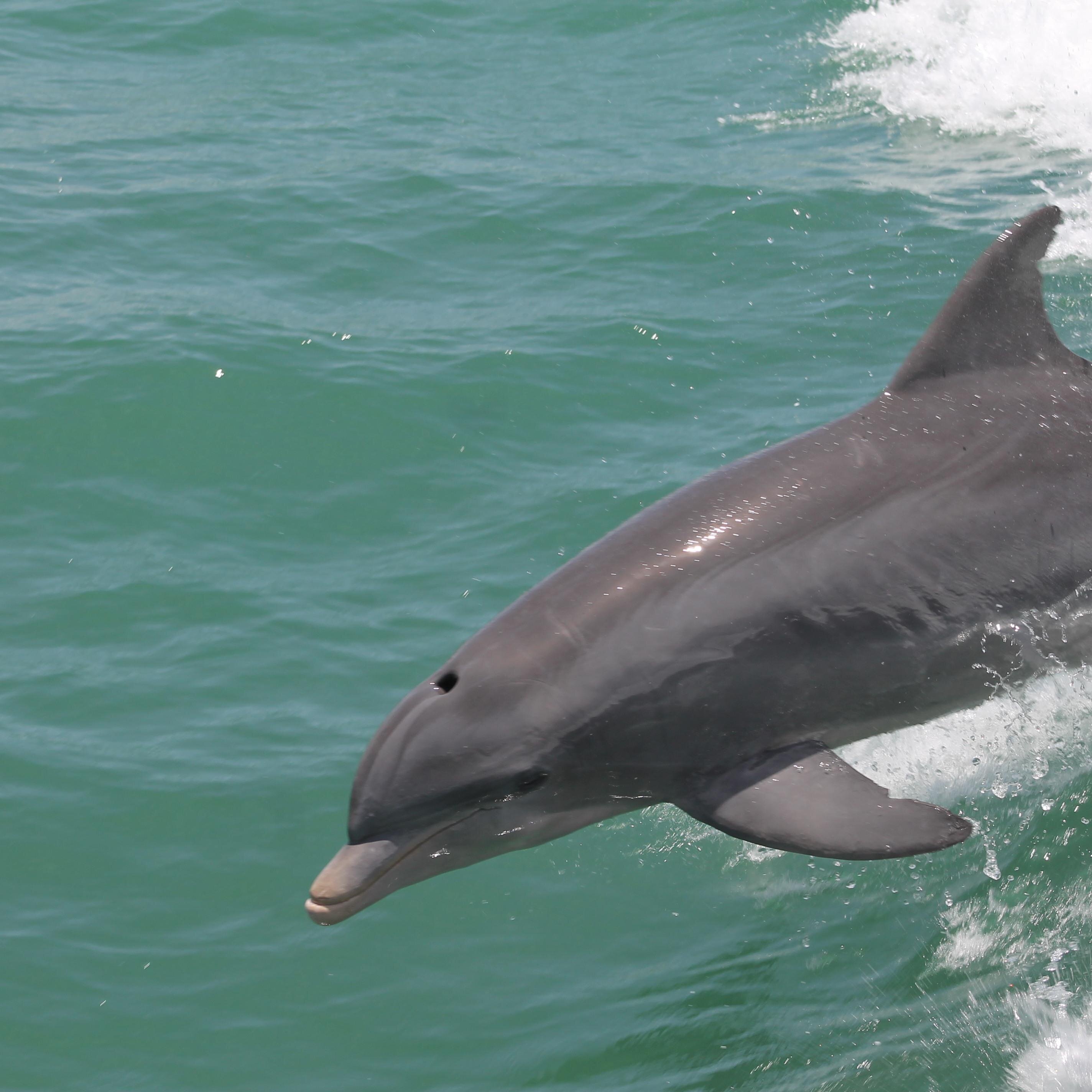 pennyweave's profile picture. 