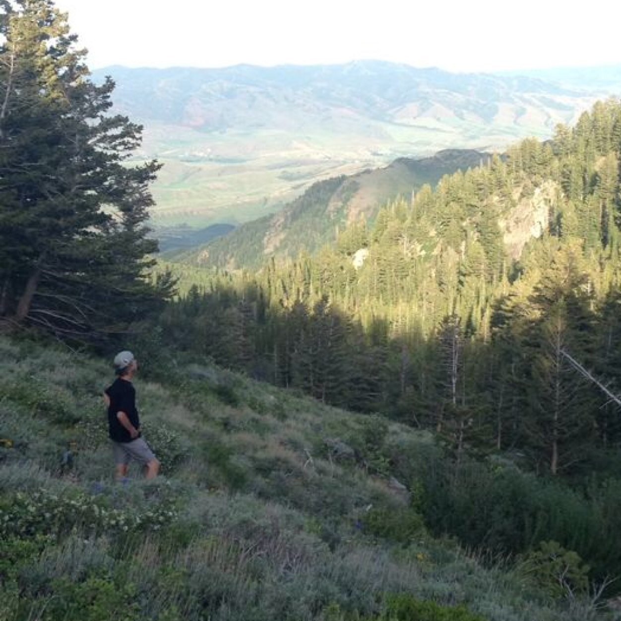 gagetibbitts21's profile picture. saggin.