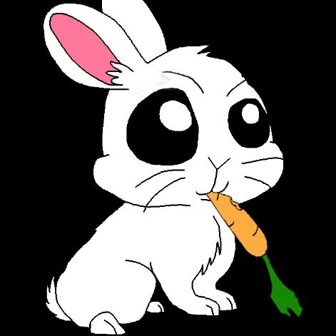 Silly Rabbits is a hip hop duo from the salty streets of Chicago. A work in progress with more coming soon.