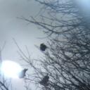 Daniel Estelle - @DEstelle50043 - Twitter