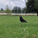 Nicholas Priest - @Nick_jrp - Twitter