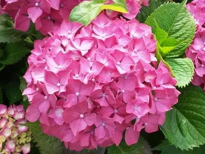 arbasalo's profile picture. 