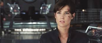 You should have this job.And
wouldn't that piss off all the right
people.Director of S.H.I.E.L.D.