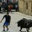 verdu1992's profile image