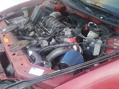 chickenbox19's profile picture. 