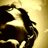 sil_rocandroll's profile image