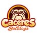 Criadero de Bulldog (@caceresbulldogs) Twitter profile photo