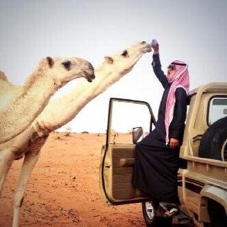 نصراووي مدريدي مغرور ولست متكبر . النصر ، مدريد   عشق لا ينتهيء PIN:2A7B1860