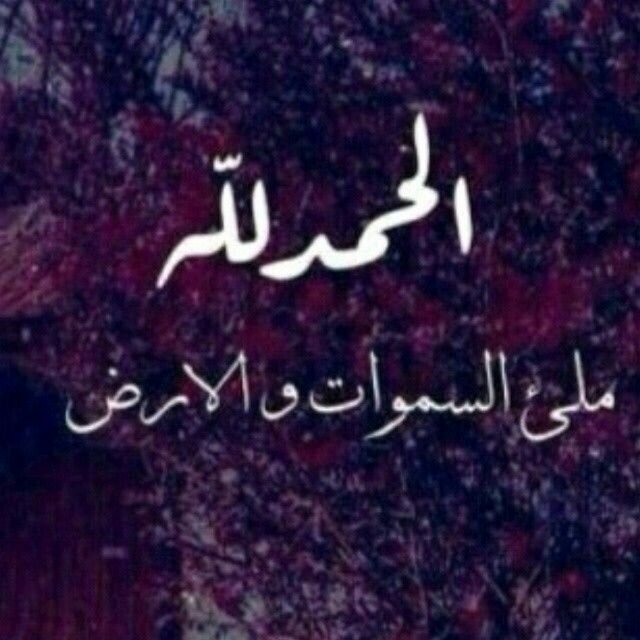ألطفش لعب فينا لعب ♬