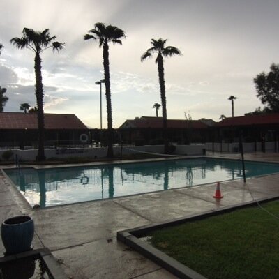 nieuwerkerk4x's profile picture. 