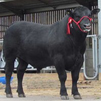 Pinner Park Farm (@pinnerparkfarm) 's Twitter Profile