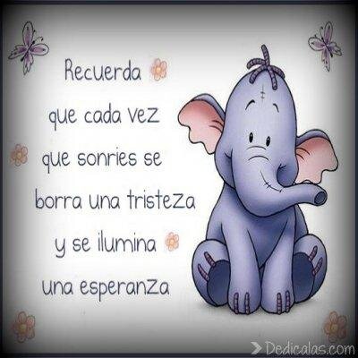 Vive, ama, ríe y no dejes que nadie nunca te haga decaer. Vive la vida a tu manera.”