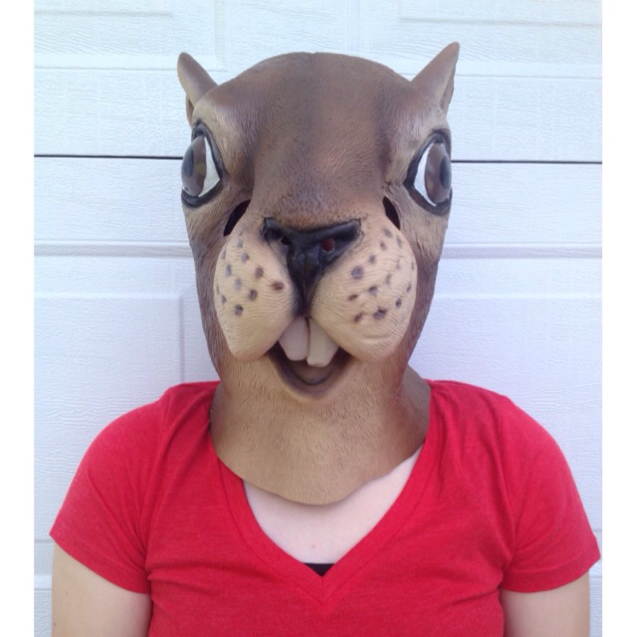 Just your friendly neighborhood squirrel.