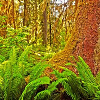 TCC Jefferson (@enjoyolympics) 's Twitter Profile Photo