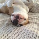 casey chalmers - @casey_chalmers - Twitter