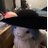 RemiDaPyon's profile image