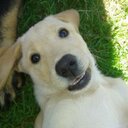 Sue Jackson - @sue_mccoy95real - Twitter