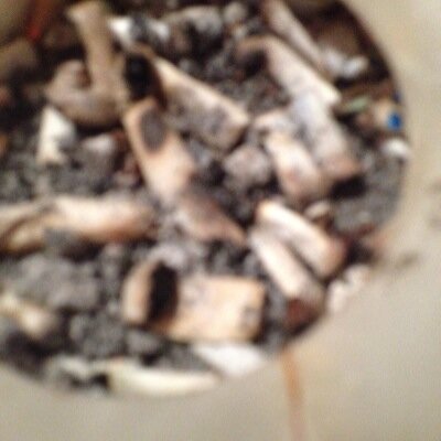 liamt79's profile picture. 