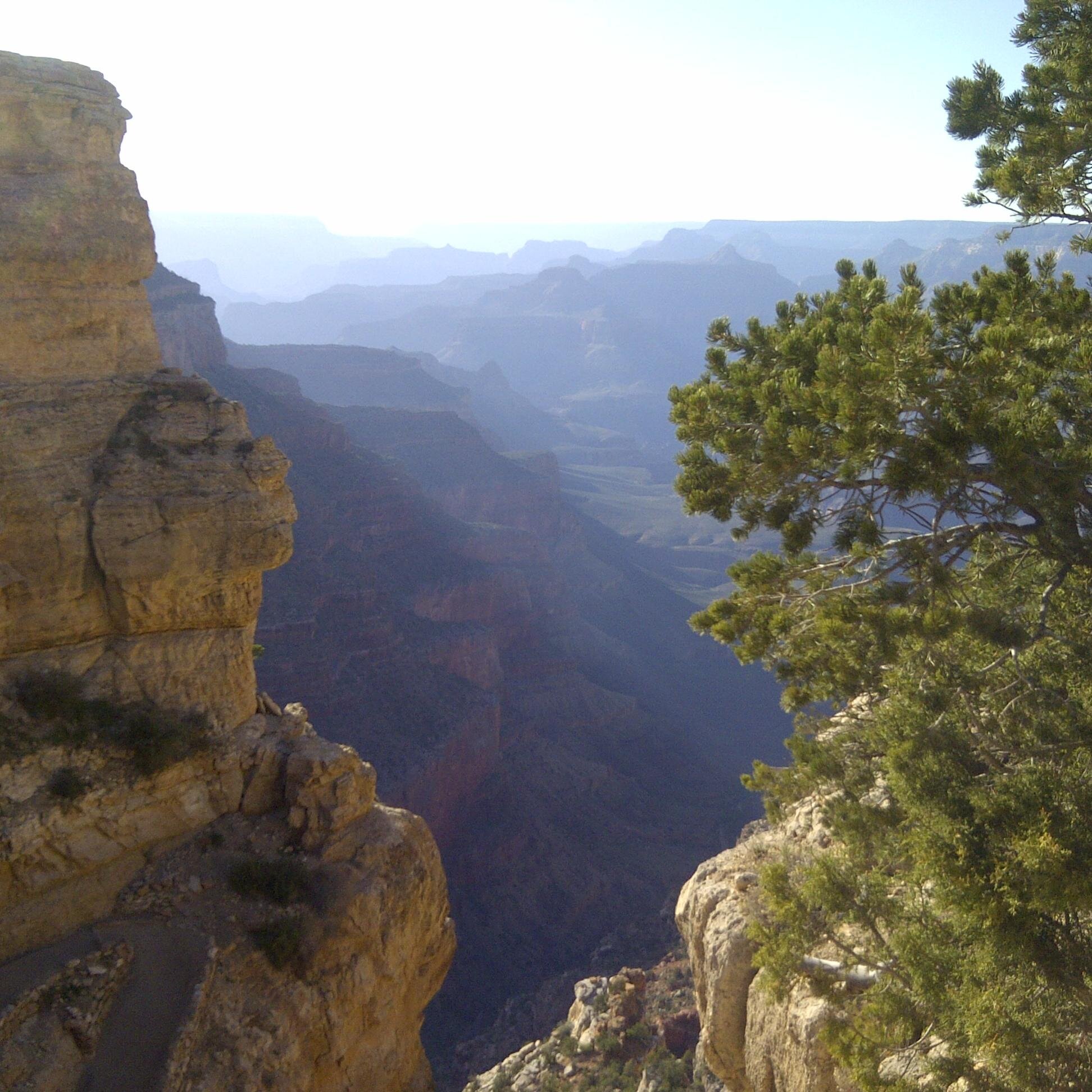 Sierra Club's Restore and Protect the Grand Canyon Campaign.  Looking out for the 4,000+ species that live in & love Grand Canyon.