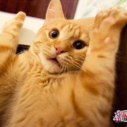 ElAlejoMotita's profile picture. proximo youtuber, gamer *-*