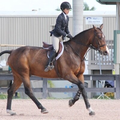 I ride horses, wbu. Zone 7.