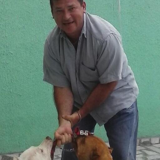 pauloeinocencio's profile picture. 