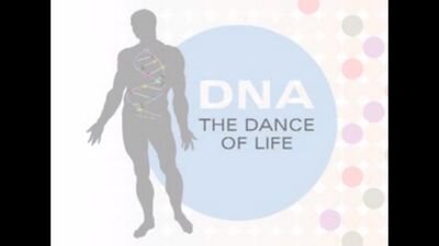 The_InnerWorld's profile picture. Educational website encouraging the education of pre-med and biology students.