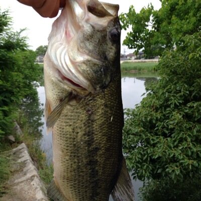 バス釣りin中国地方 0cb32m3jp Twitter