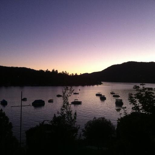 cotogolfer's profile picture. 