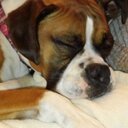 Michelle Rumsey - @michellemay525 - Twitter