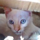 julia calero leal - @CaleroLeal - Twitter