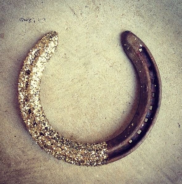 CapricornTX's profile picture. A school of horsemanship offering year-round horseback riding programs for beginning to advanced riders. Contact Us: (972) 530-1124